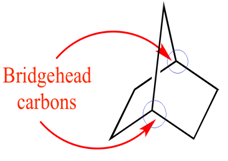 Bredt's rule