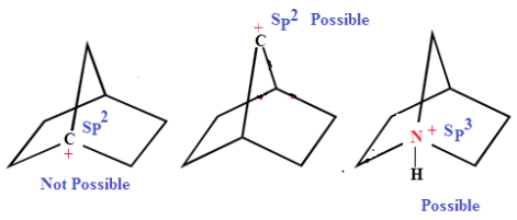 Bredt's rule