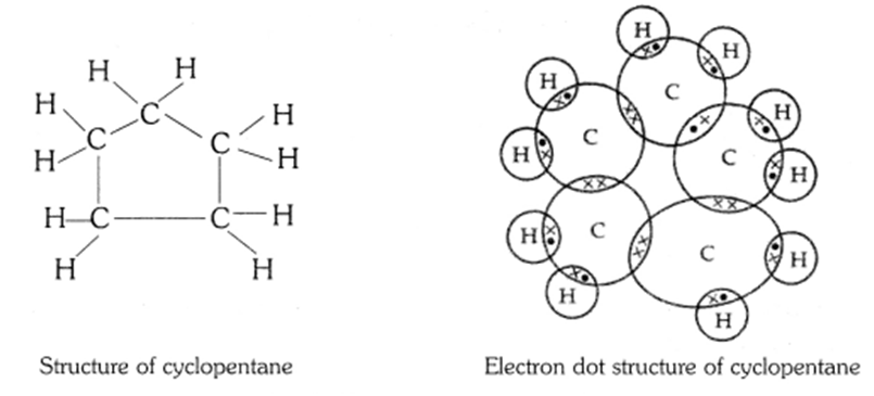 Carbon and its Compounds: 30 Question and Answer