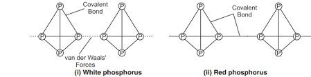 Out of white phosphorous and red phosphorous, which one is more reactive and why?