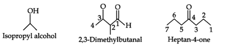 Chapter 12 Organic Chemistry Some Basic Principles Q and A