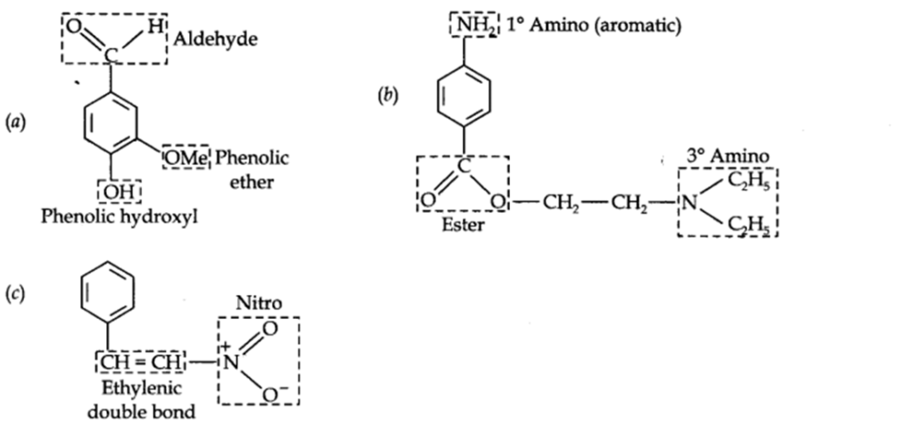 Chapter 12 Organic Chemistry Some Basic Principles Q and A