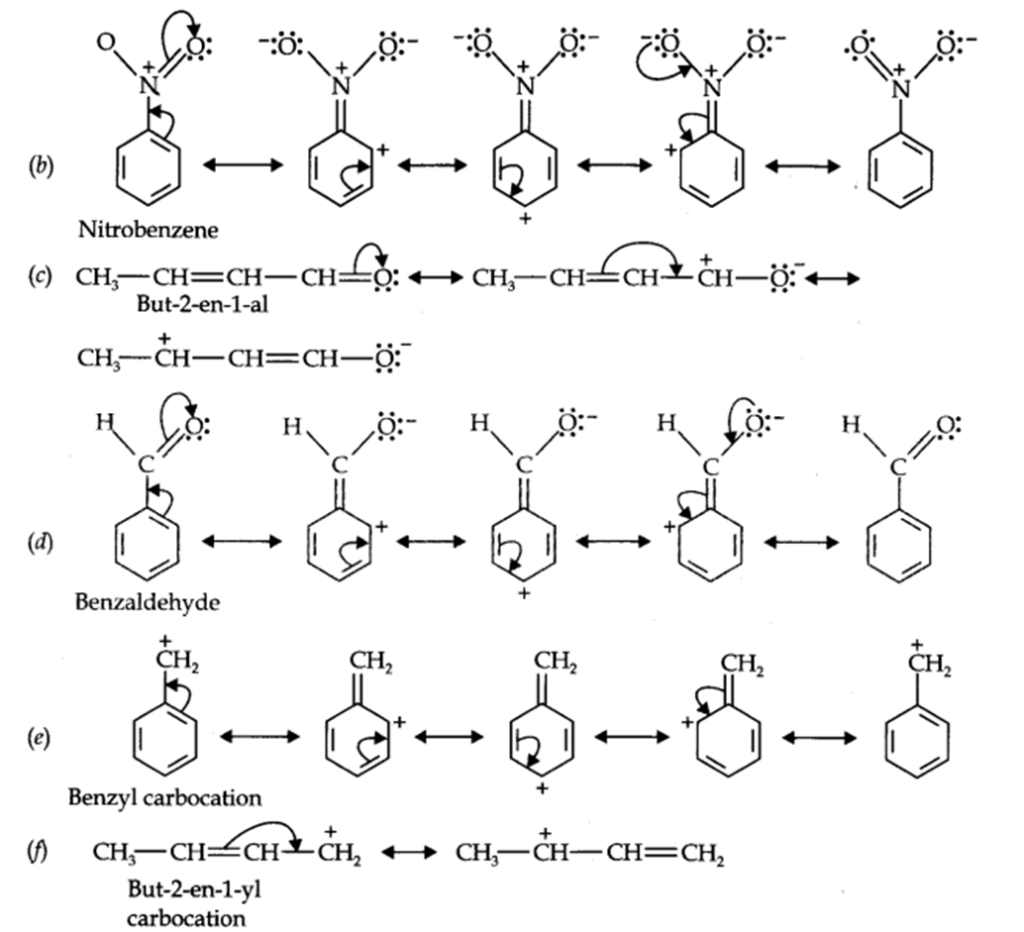 Chapter 12 Organic Chemistry Some Basic Principles Q and A