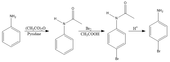 100+ Essential Organic Chemistry Reasoning Questions: CBSE Class 12 Board Exam